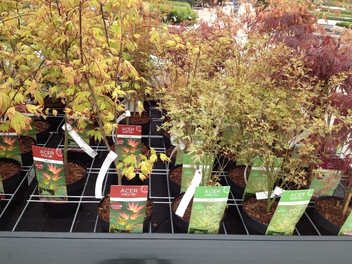 Pricing with Precision: Smarter Plant Labels That Drive Sales